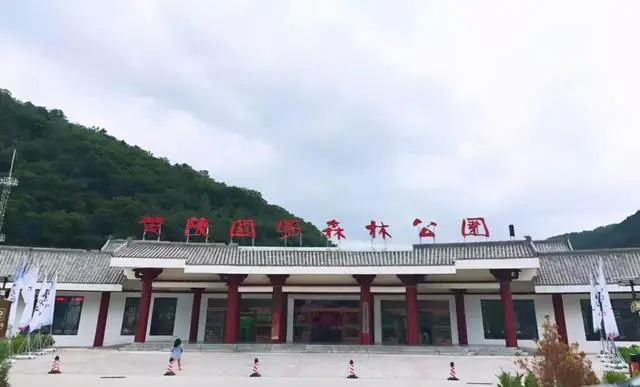 篮球训练海报图片_2